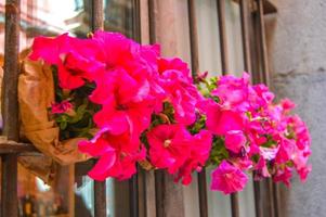 festa dei fiori a girona temps de flors, spagna. 2018 foto