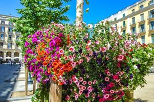 festa dei fiori a girona temps de flors, spagna. 2018 foto