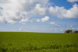 minimo cielo paesaggio foto