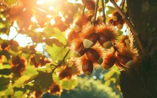 avvicinamento di fresco castagne su vivace autunno foresta. ai generativo foto