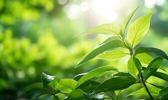 vicino su di verde foglia nel un' giardino a estate sotto luce del sole con sfocato sfondo. generativo ai foto