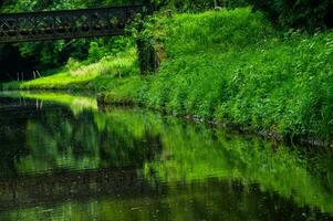 corso d'acqua di digoin -roanne,briennon,loira,francia foto