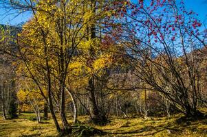 paesaggio di il francese Alpi nel autunno foto