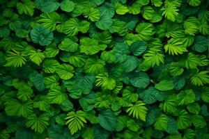 verde le foglie sfondo, natura le foglie sfondo, le foglie sfondo, le foglie sfondo, ai generativo foto