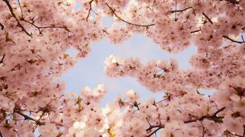 fiore telaio albero floreale superiore Visualizza ai generato foto