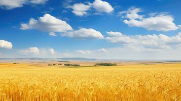 grano campo oro paesaggio sfondo ai generato foto