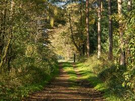 autunno tempo nel il Tedesco Münsterland foto