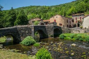 parco naturel regionale des vulcani d'Alvernia foto