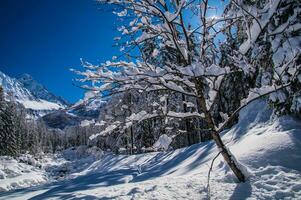 paesaggio invernale nelle alpi francesi foto