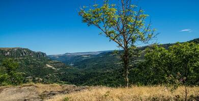 parco nazionale delle cévennes foto