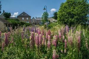 parco naturel regionale des vulcani d'Alvernia foto