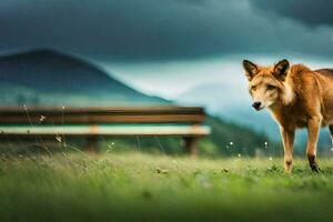 un' solitario lupo sta nel il erba vicino un' panca. ai-generato foto