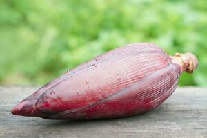 fresco commestibile Banana fiore. concetto, agricoltura Ritaglia a partire dal giardino. cibo ingrediente può essere cucinato nel varietà delizioso menù, ha medicinale proprietà bene per Salute. foto