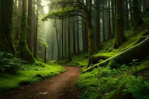 un' sentiero attraverso un' verde foresta con alberi e muschio. ai-generato foto