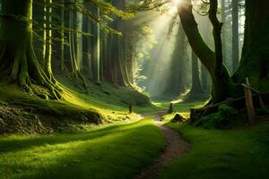 un' sentiero attraverso un' verde foresta con alberi e sole. ai-generato foto