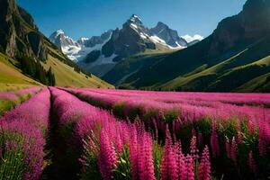 un' campo di viola fiori con montagne nel il sfondo. ai-generato foto