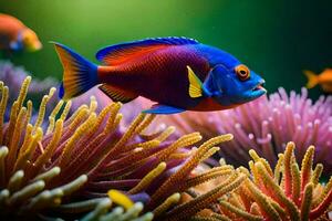 un' colorato pesce nuoto nel un subacqueo scogliera. ai-generato foto