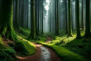 un' sentiero attraverso un' verde foresta con alberi. ai-generato foto