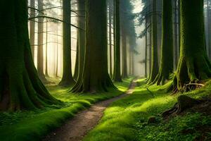 un' sentiero attraverso un' foresta con alto alberi. ai-generato foto