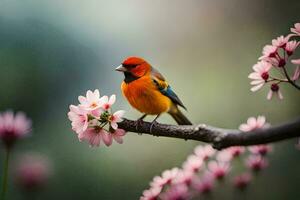foto sfondo uccello, il fiori, il uccello, il fiori, il uccello, il fiori,. ai-generato