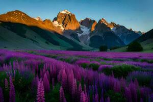 il montagne siamo coperto nel viola fiori. ai-generato foto