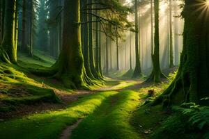 un' sentiero attraverso un' foresta con alberi e erba. ai-generato foto