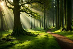 luce del sole brilla attraverso il alberi nel un' foresta. ai-generato foto