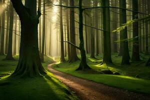un' sentiero attraverso un' foresta con alberi e luce del sole. ai-generato foto