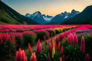 un' campo di rosa fiori e montagne a tramonto. ai-generato foto