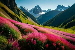 un' bellissimo campo di rosa fiori nel davanti di montagne. ai-generato foto