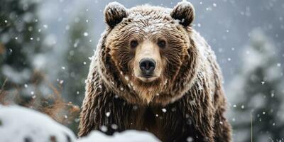 un' grizzly orso camminando tempesta di neve ai generativo foto