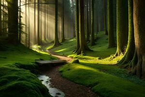 un' sentiero attraverso un' foresta con luce del sole splendente attraverso il alberi. ai-generato foto