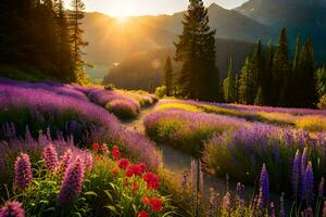 lavanda campo a tramonto nel il montagne. ai-generato foto