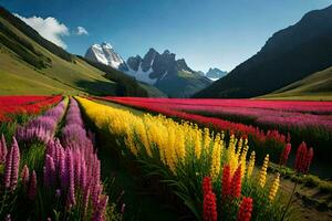 un' campo di colorato fiori nel davanti di montagne. ai-generato foto