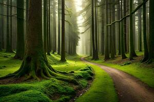 un' sentiero attraverso un' verde foresta con alberi e erba. ai-generato foto