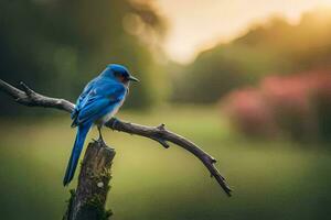 blu uccello seduta su un' ramo nel il sole. ai-generato foto