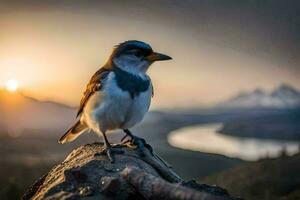 un' uccello si siede su un' log nel davanti di un' tramonto. ai-generato foto