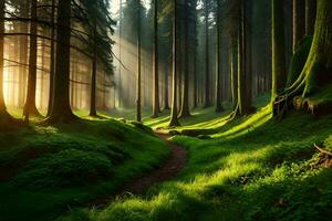 il sole brilla attraverso il alberi nel un' foresta. ai-generato foto