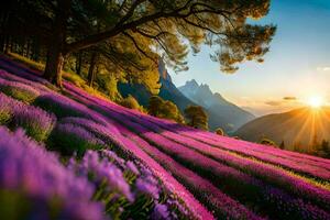 il sole ambientazione al di sopra di lavanda i campi nel il montagne. ai-generato foto