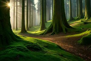 un' sentiero attraverso un' foresta con alberi e muschio. ai-generato foto