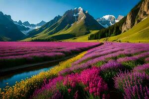 il lavanda i campi di il Kurgan montagne. ai-generato foto