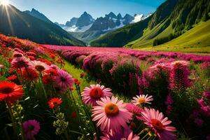 un' campo di rosa fiori e montagne nel il sfondo. ai-generato foto