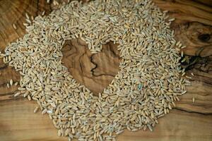 un' mucchio di farro triticum aestivum spelta su oliva legna foto