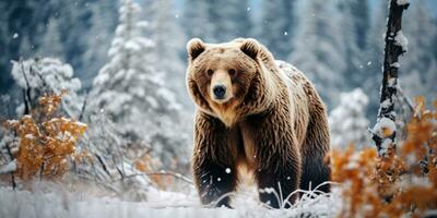 un' grizzly orso camminando tempesta di neve ai generativo foto