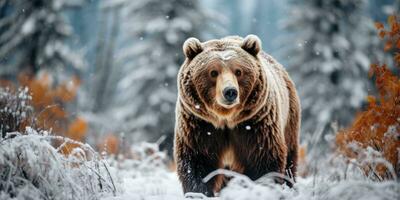 un' grizzly orso camminando tempesta di neve ai generativo foto