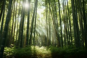 luminosa luce del sole filtraggio attraverso bambù foresta ai generativo foto