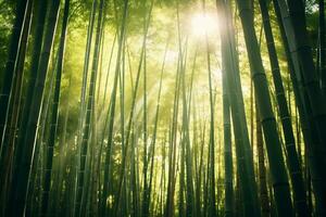 luminosa luce del sole filtraggio attraverso bambù foresta ai generativo foto