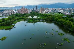 Stagno di legname del parco culturale forestale di Luodong a Yilan, taiwan foto