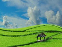campi verdi e cielo azzurro splendidi scenari naturali foto