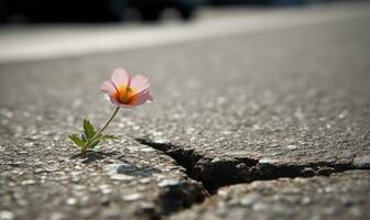 in mezzo il grigio, fiori crescere nel il asfalto la creazione di utilizzando generativo ai utensili foto